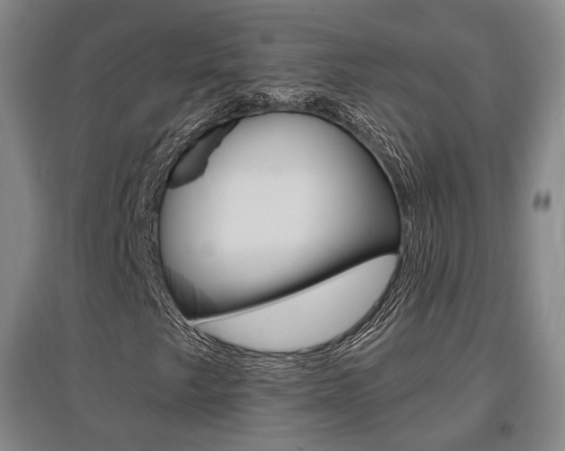 X0000095881249200801110756