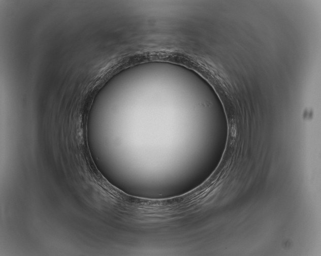 X0000095881252200801110756