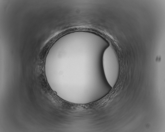 X0000095881255200801110756