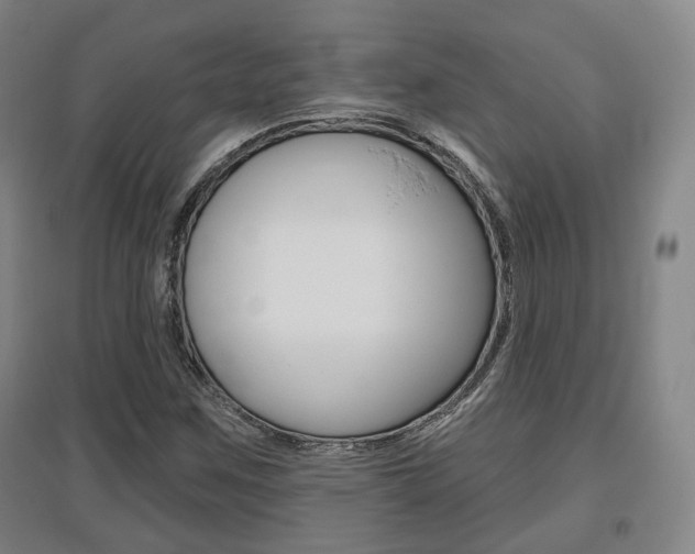 X0000095881259200801110756