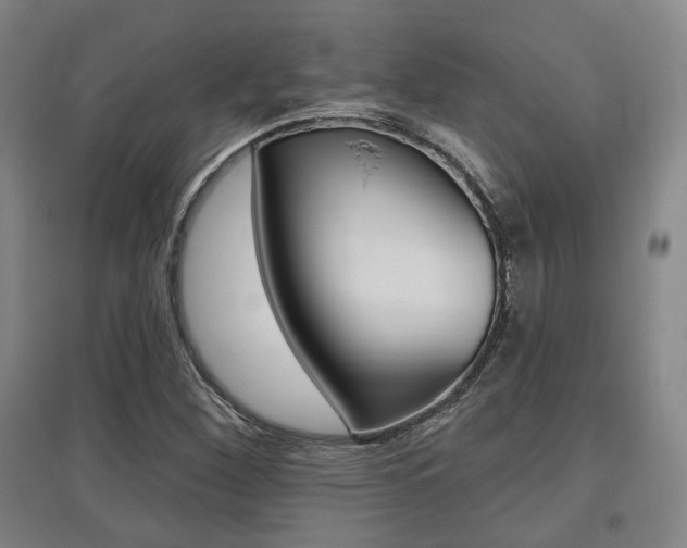 X0000095881260200801110756