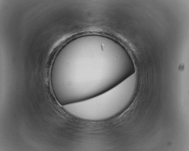 X0000095881262200801110756