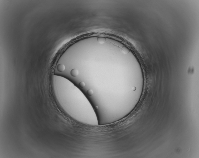 X0000095881263200801110756