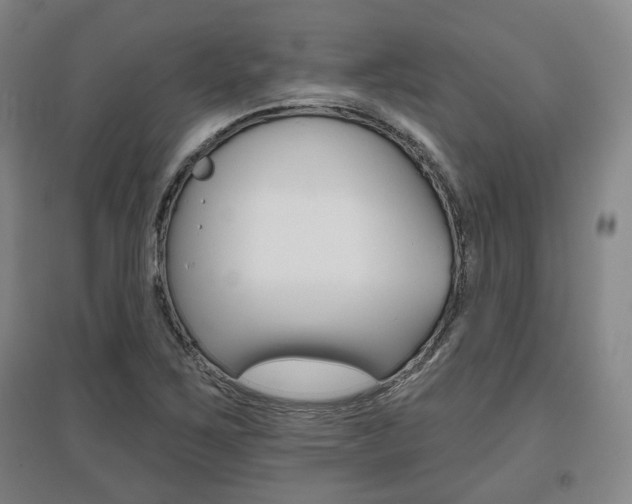 X0000095881267200801110756