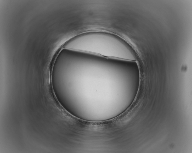 X0000095881269200801110756
