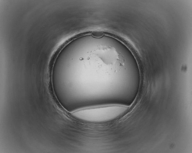 X0000095881270200801110756