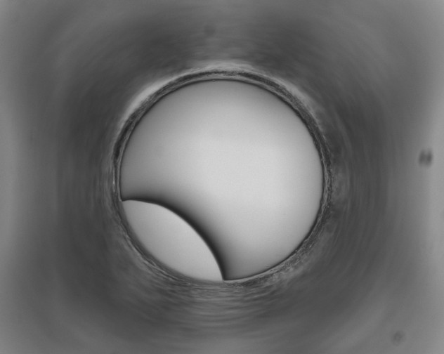 X0000095881271200801110756