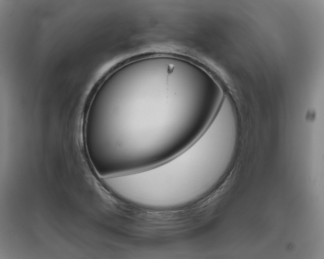 X0000095881272200801110756