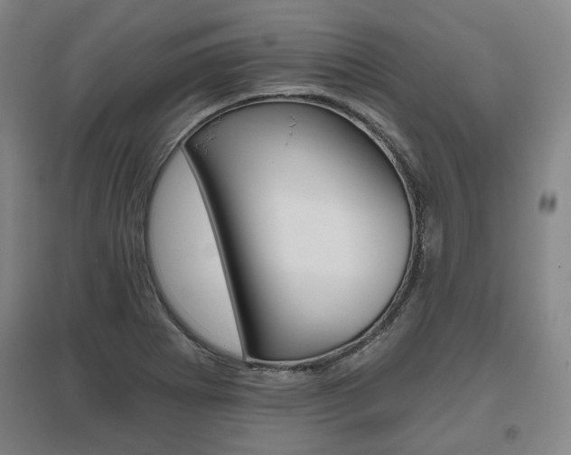 X0000095881273200801110756