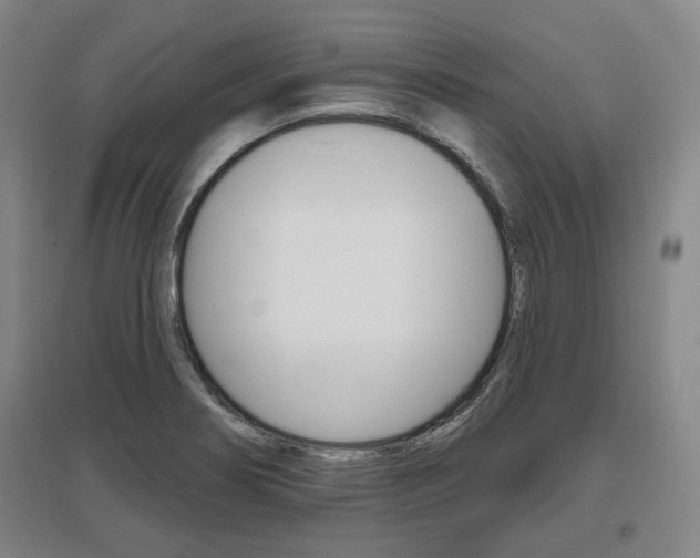 X0000095881274200801110756