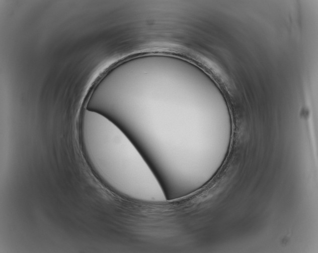 X0000095881275200801110756