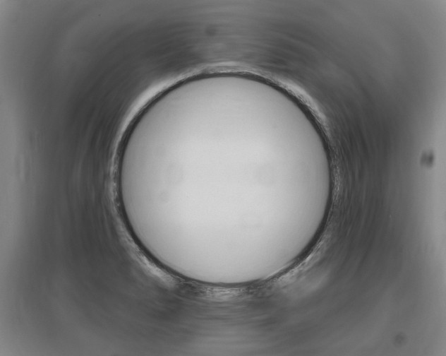 X0000095881278200801110756