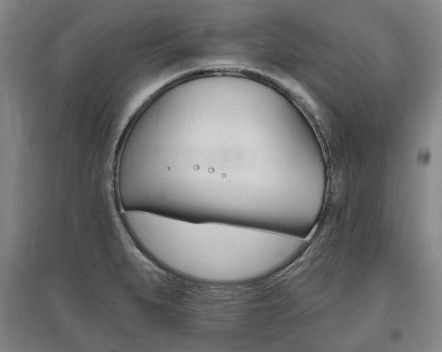 X0000095881279200801110756