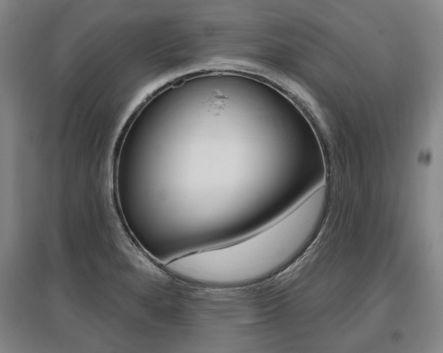 X0000095881280200801110756