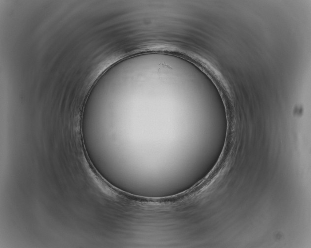 X0000095881281200801110756