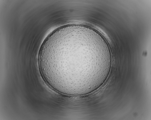 X0000095881283200801110756
