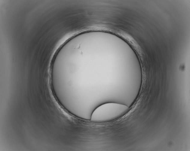 X0000095881286200801110756