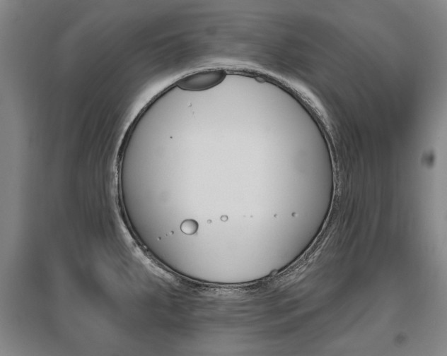 X0000095881287200801110756