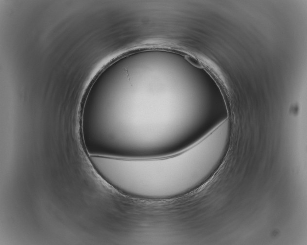 X0000095881288200801110756