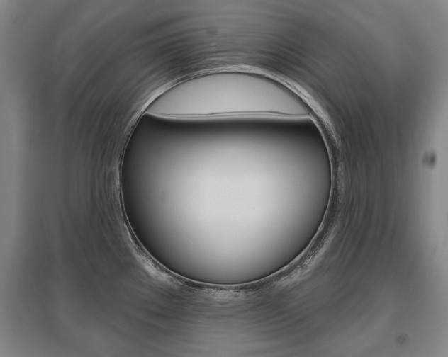 X0000095881289200801110755