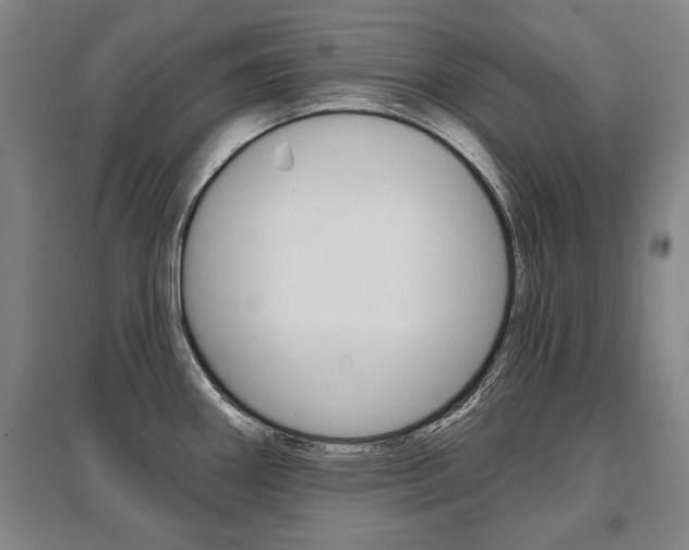 X0000095881290200801110755