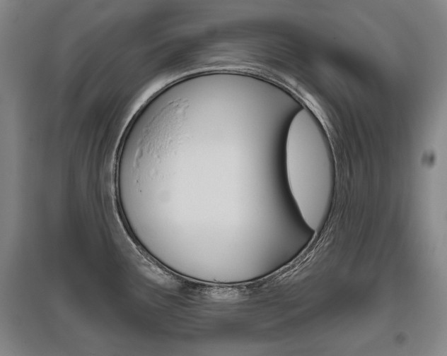 X0000095881291200801110755