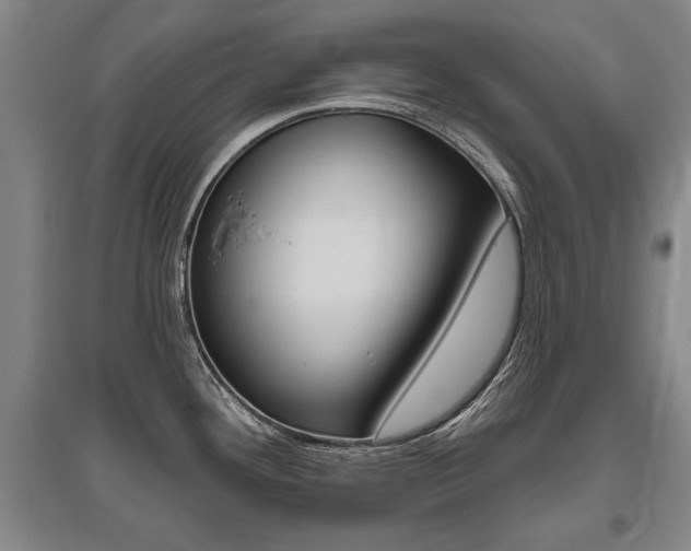 X0000095881292200801110755