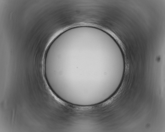 X0000095881294200801110755