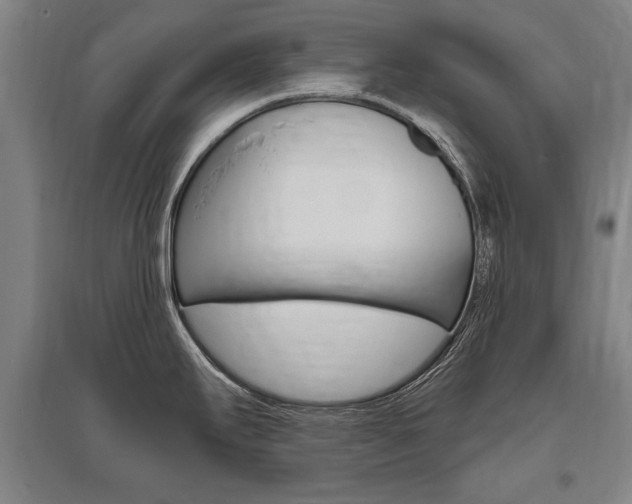 X0000095881295200801110755