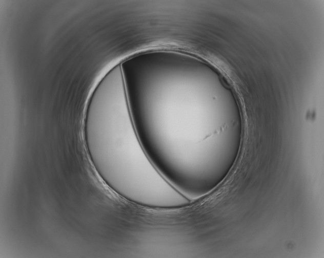 X0000095881296200801110755