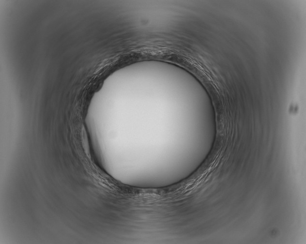 X0000095881297200801110755