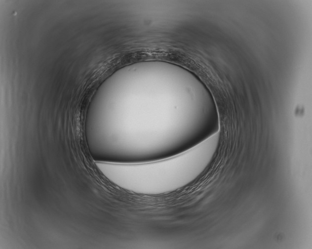 X0000095881298200801110755