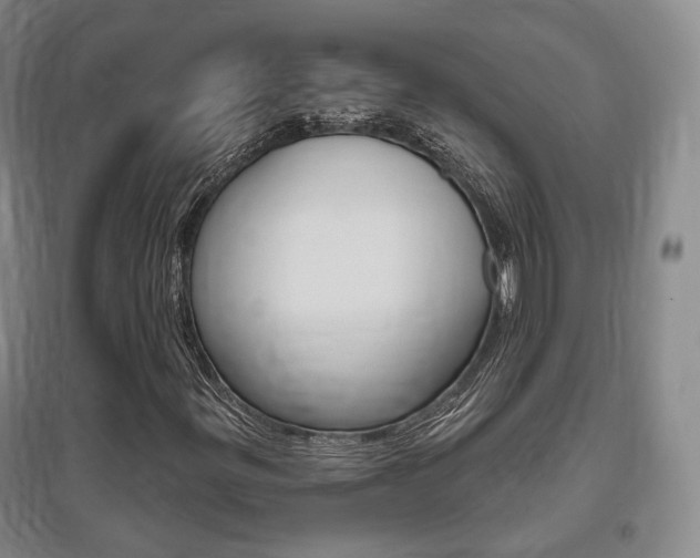 X0000095881299200801110755