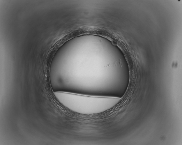 X0000095881301200801110755