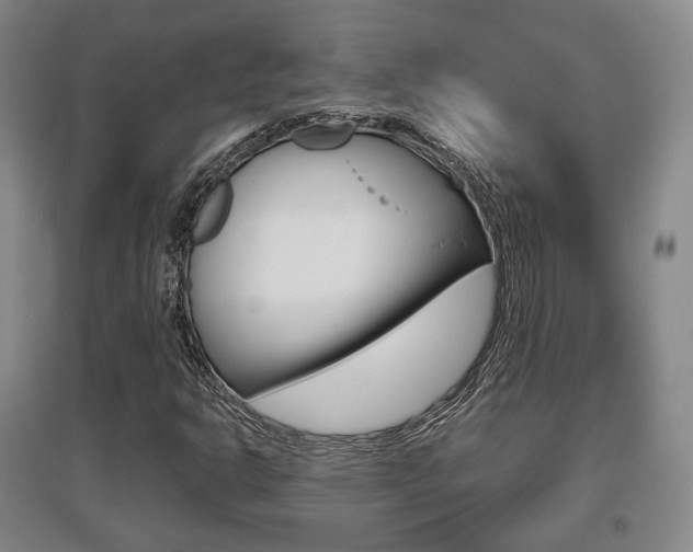 X0000095881302200801110755