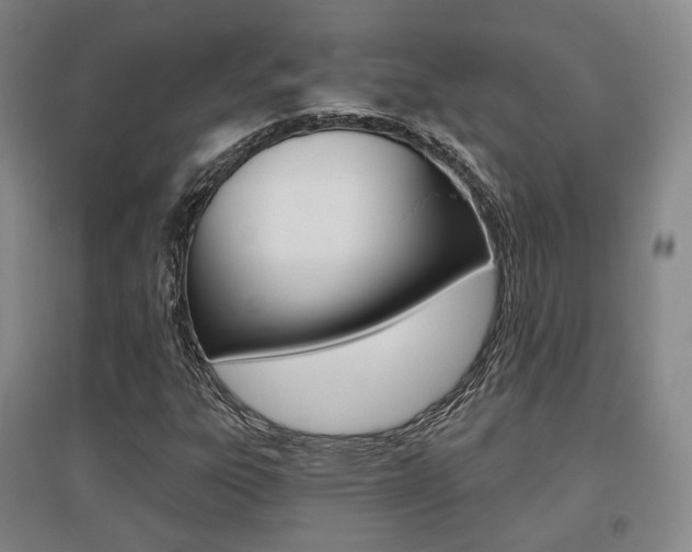 X0000095881303200801110755