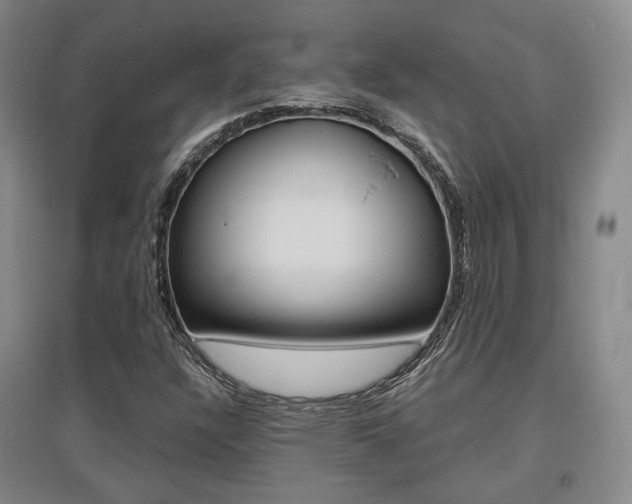 X0000095881304200801110755