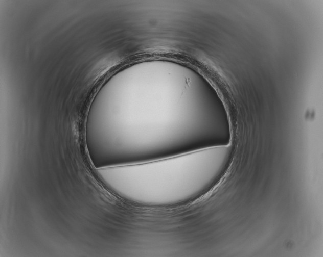 X0000095881305200801110755