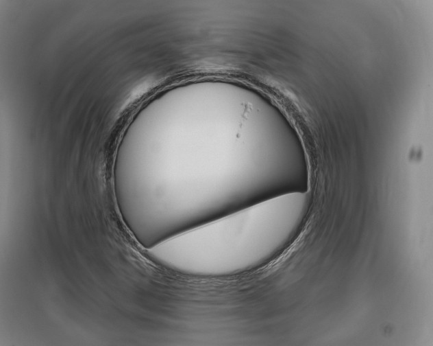 X0000095881306200801110755