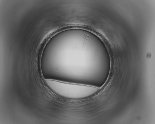 X0000095881307200801110755