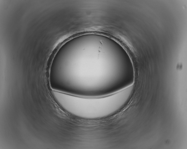 X0000095881308200801110755