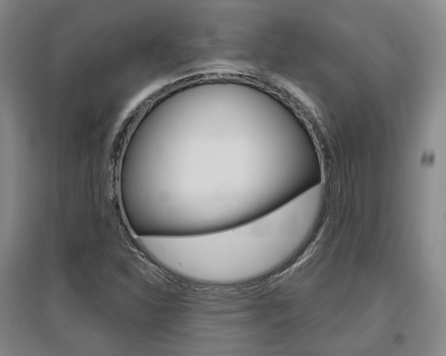 X0000095881310200801110755