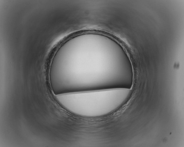X0000095881311200801110755