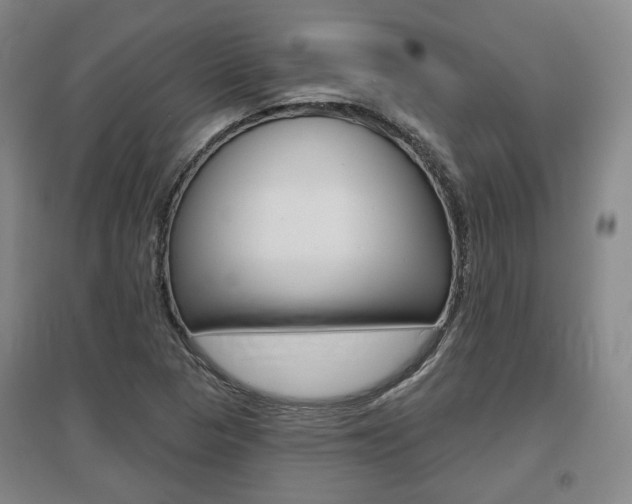 X0000095881313200801110755