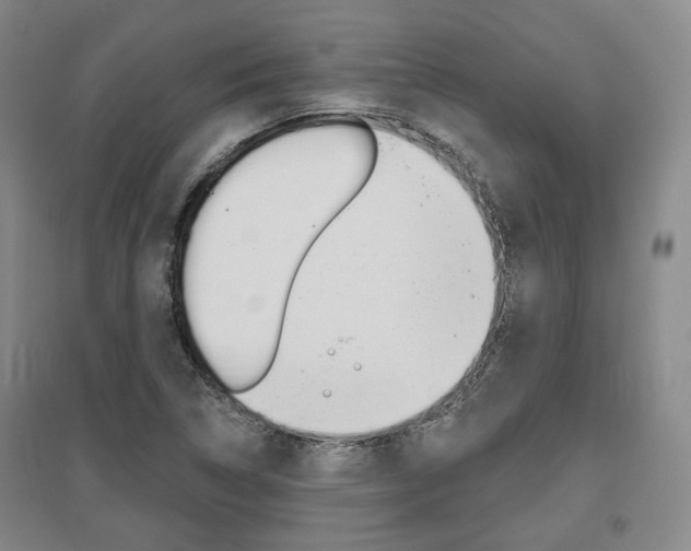 X0000095881314200801110755