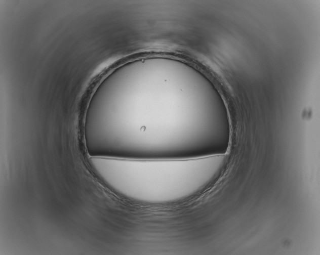 X0000095881315200801110755