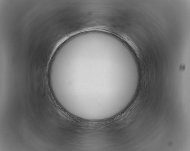 X0000095881316200801110755