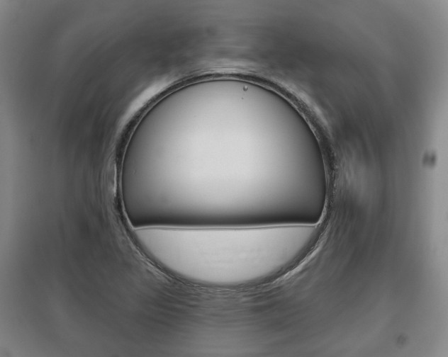 X0000095881317200801110755