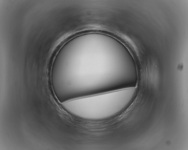 X0000095881318200801110755