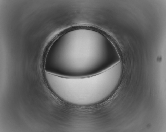 X0000095881319200801110755